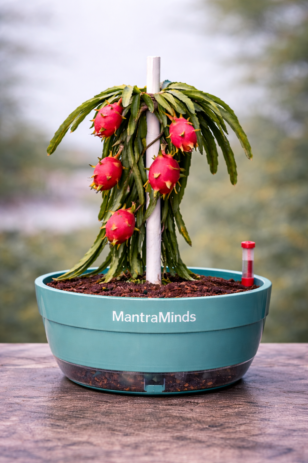 Self Watering Intelligence